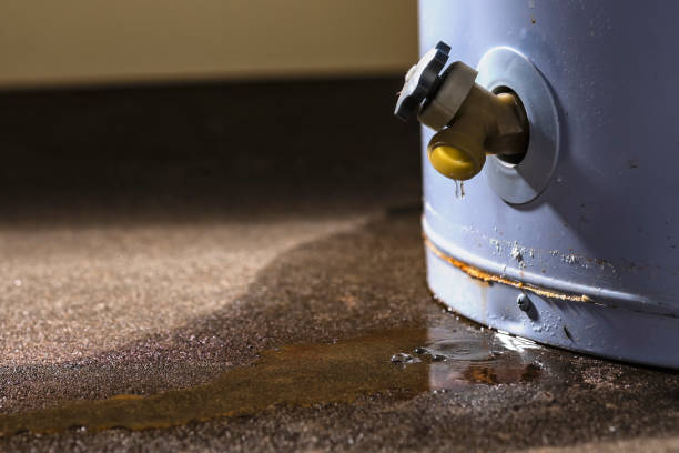Best Emergency water damage restoration  in Centerville, MN