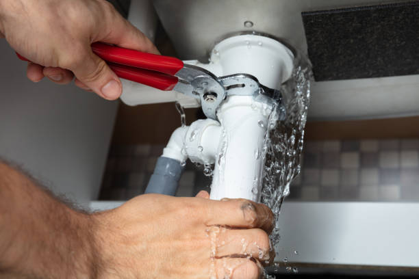 Best Ceiling water damage repair  in Centerville, MN