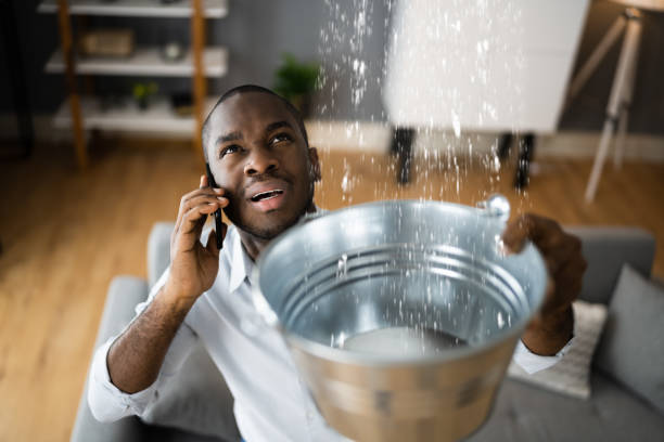 Best Water damage restoration near me  in Centerville, MN