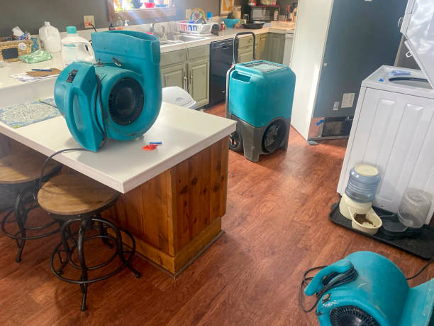 Best Local water damage restoration  in Centerville, MN