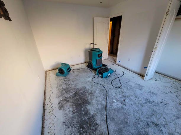 Best Carpet water damage restoration  in Centerville, MN