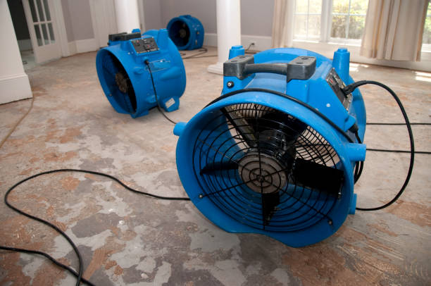 Best Fire Damage Restoration  in Centerville, MN