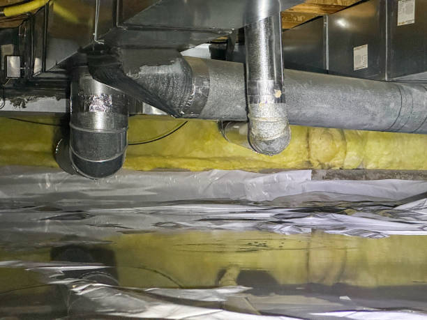 Best Water damage repair service  in Centerville, MN