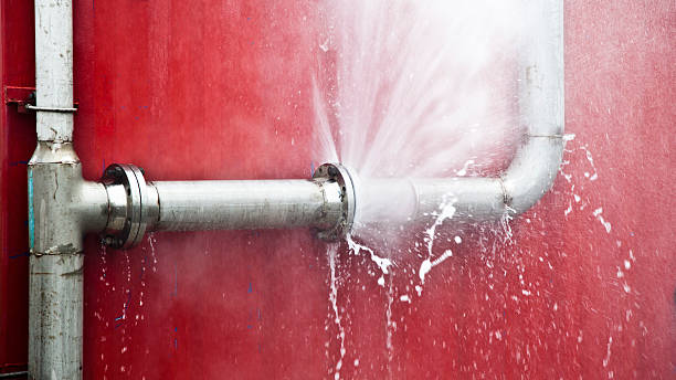 Best Water damage restoration cost  in Centerville, MN